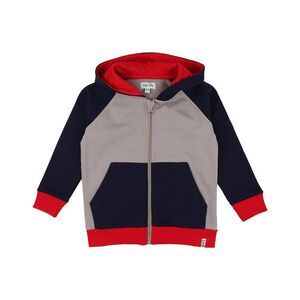 Lilly And Sid Boys  Colorblocked Sid Hoodie